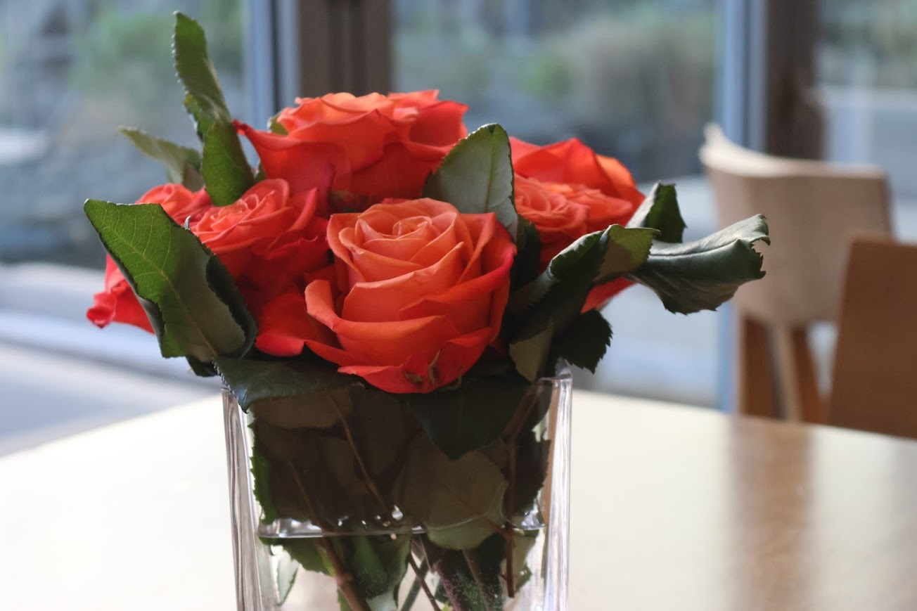 Orange roses on a table